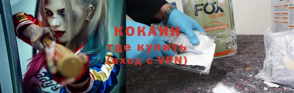 трава Няндома