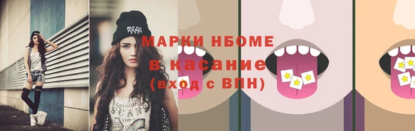 трава Няндома