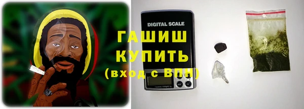 трава Няндома