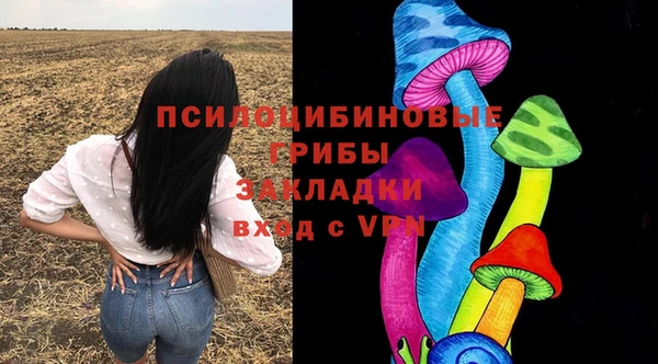 трава Няндома