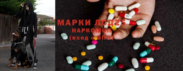 трава Няндома