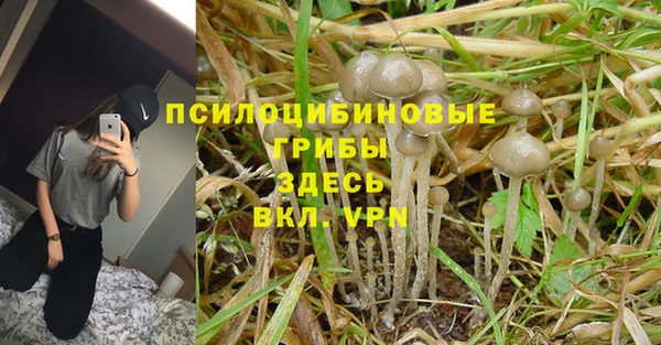 мескалин Нязепетровск