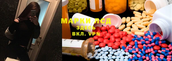 трава Няндома