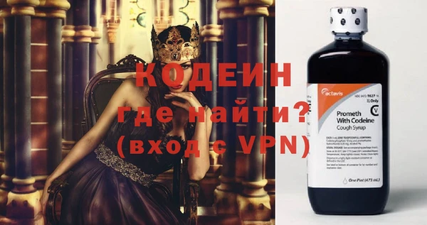 трава Няндома