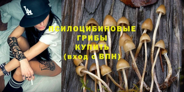 мескалин Нязепетровск