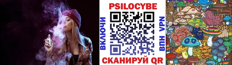 Псилоцибиновые грибы Psilocybine cubensis  Полярный 